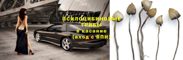таблы Алексин