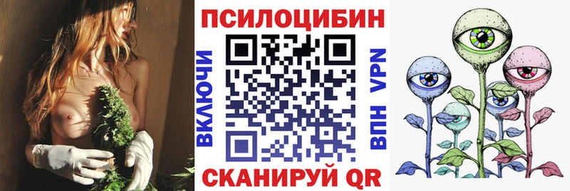 Псилоцибиновые грибы Psilocybe  Купить где  Ковдор 