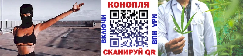 Купить закладки  Ковдор  Бошки Шишки THC 21% 